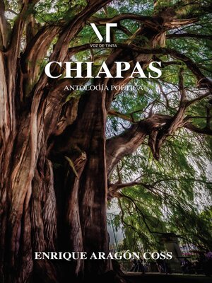 Chiapas - ebook
